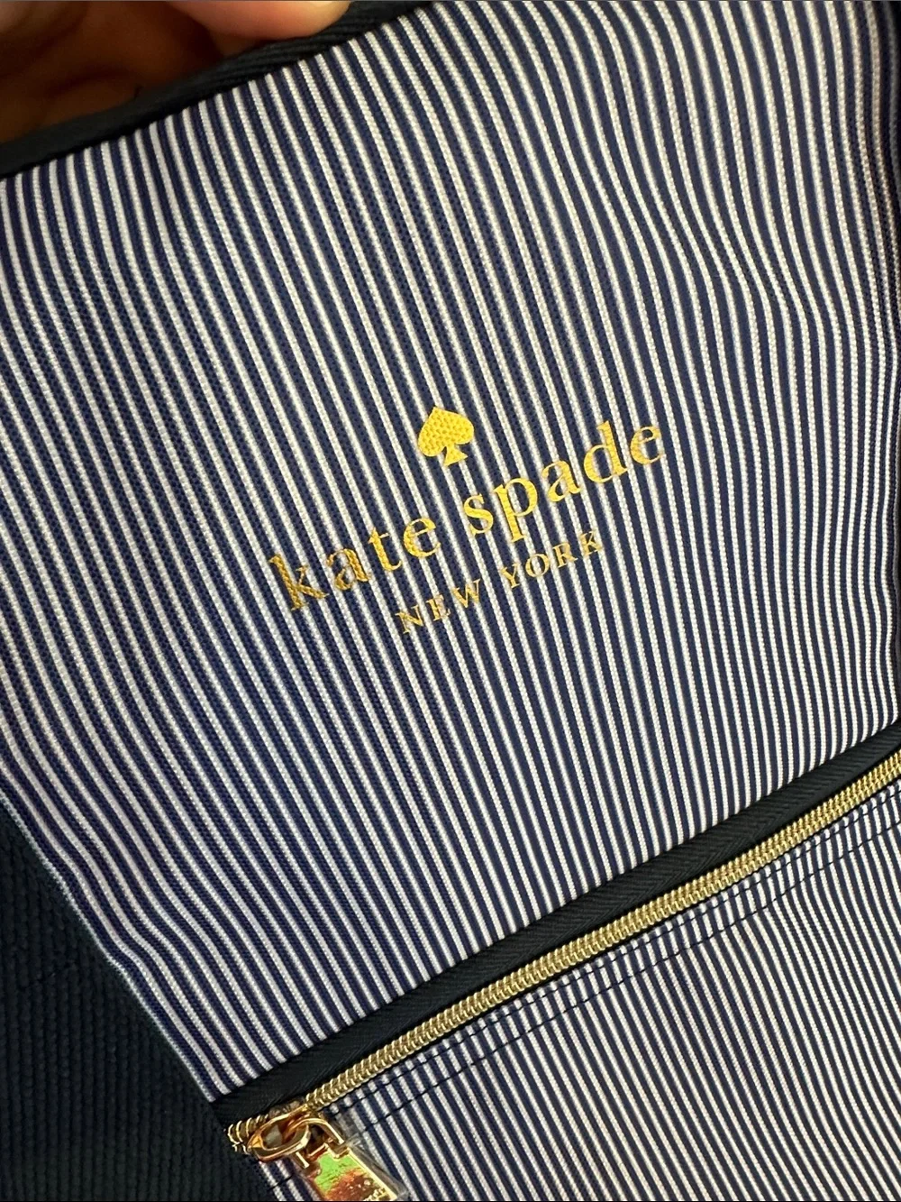 Nwt Kate spade blue stripe cooler tote bag